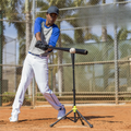 Training Works Adjustable Batting Tee