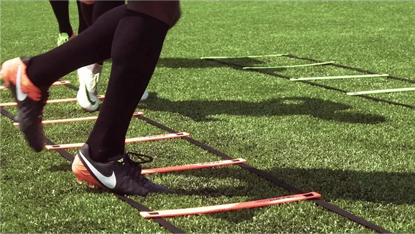 Training Goal Ladder