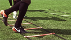 Training Goal Ladder