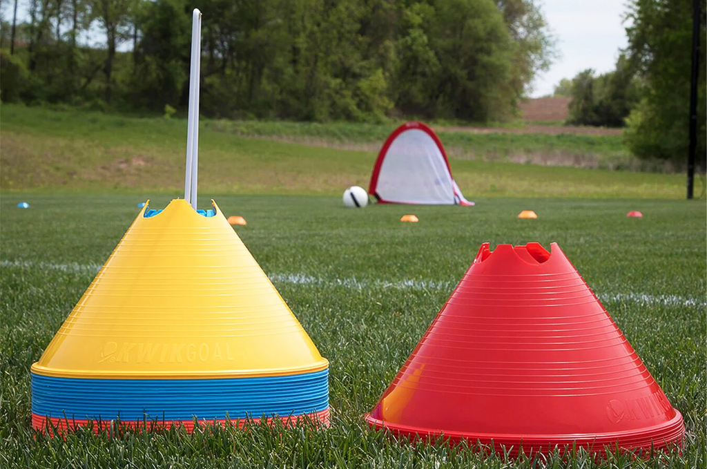 Large Disc Cone 12 Pack